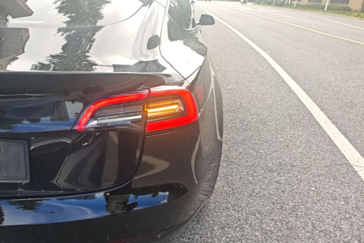 Tesla Model 3 2022 immagine di auto #8