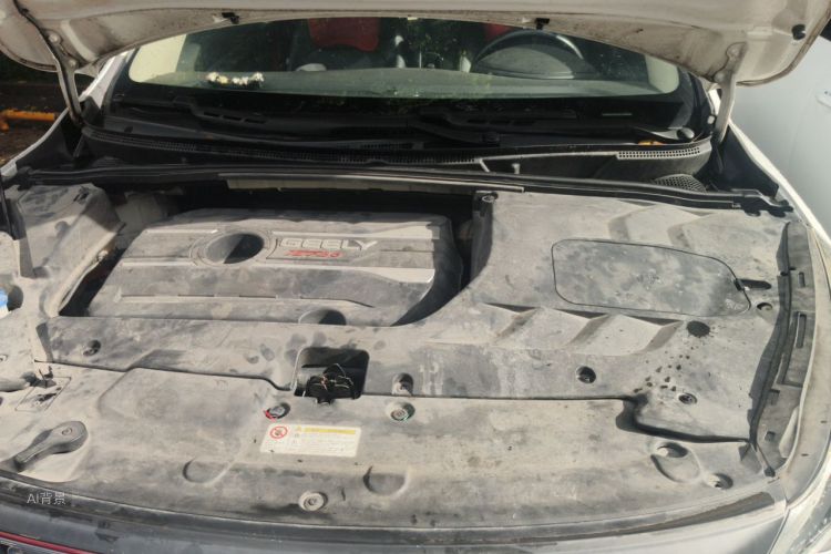 GEELY Emgrand GS 2019 car image #22