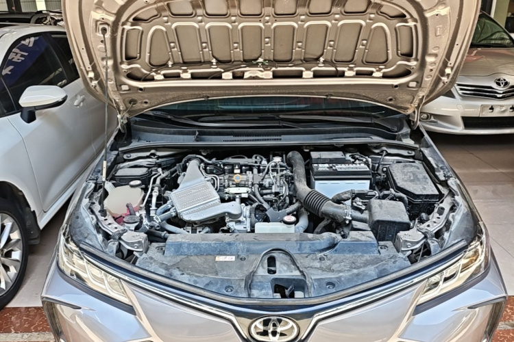 Toyota Corolla 2023 car image #20