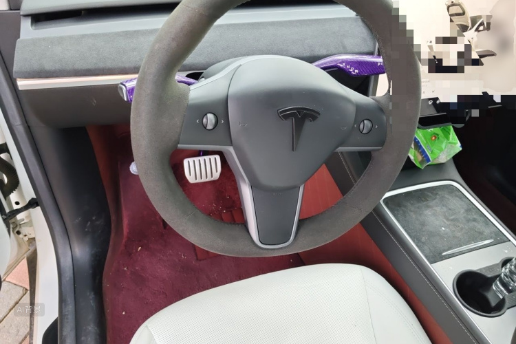 Tesla Model Y 2023 car image #12