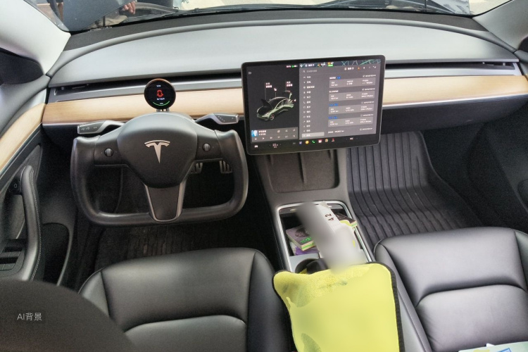 Tesla Model 3 2021 car image #11