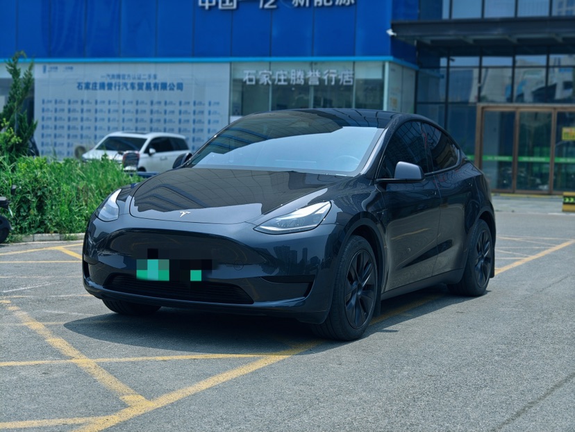 Tesla Model Y 2024 Tesla Model Y 2024 car image