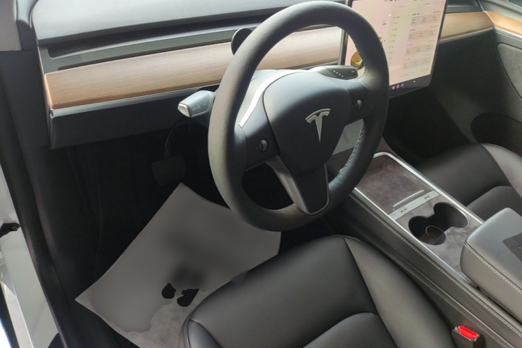 Tesla Model Y 2021 #10 Tesla Model Y 2021 car image #10