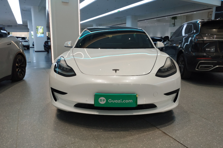 Tesla Model 3 2020 #3 Tesla Model 3 2020 car image #3
