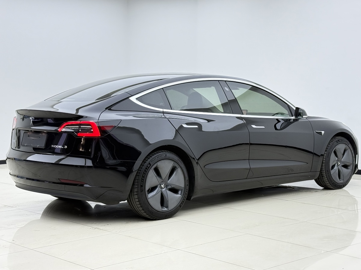 Tesla Model 3 2020 car image #6