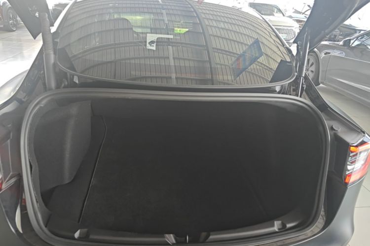 Tesla Model 3 2021 #21 Tesla Model 3 2021 immagine di auto #21