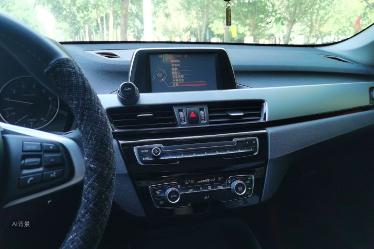 BMW X1 2017 car image #15