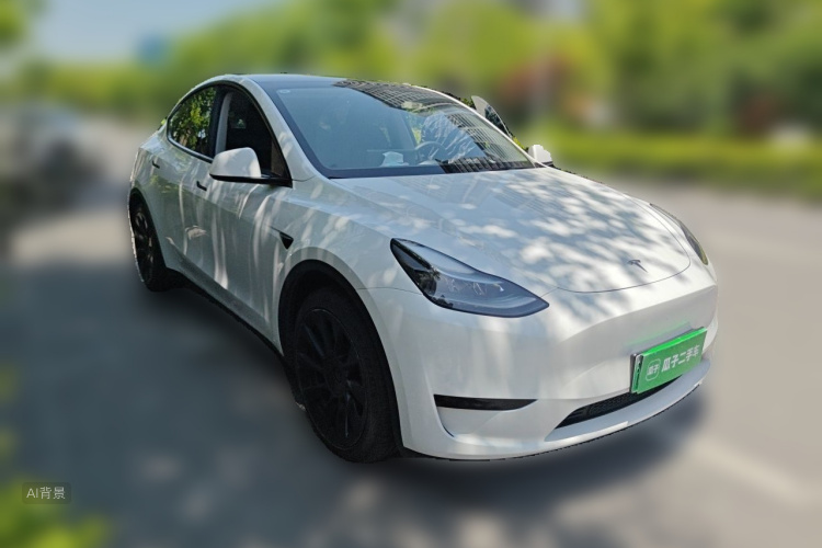 Tesla Model Y 2024 car image #4