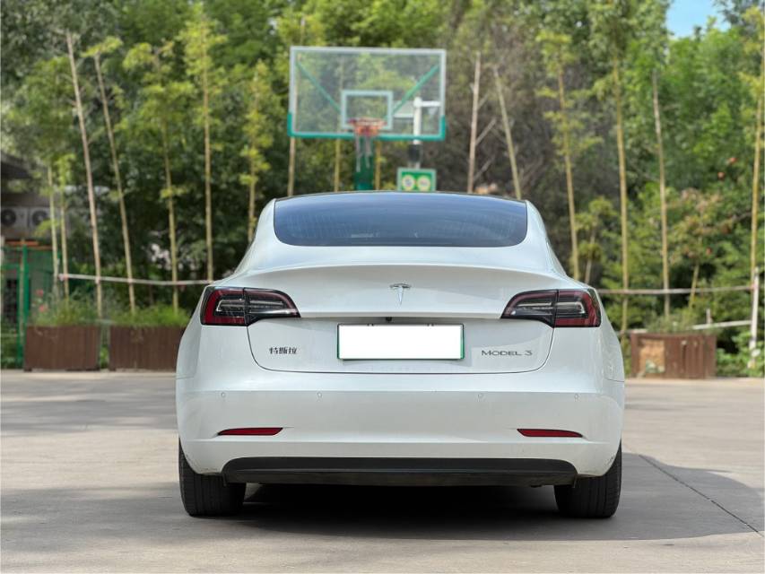 Tesla Model 3 2020 car image #5