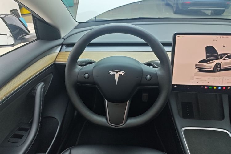 Tesla Model 3 2022 imagem de carro #11