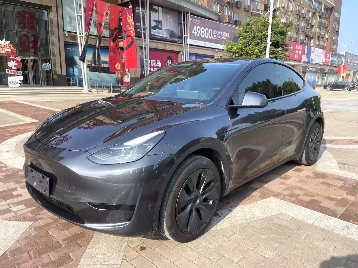 Tesla Model Y 2024 car image 