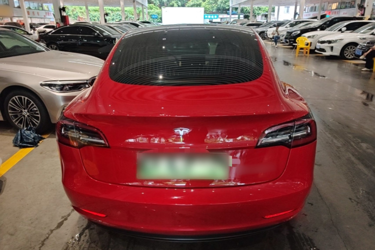 Tesla Model 3 2020 car image #6