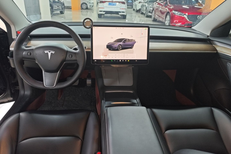 Tesla Model 3 2022 immagine di auto #10