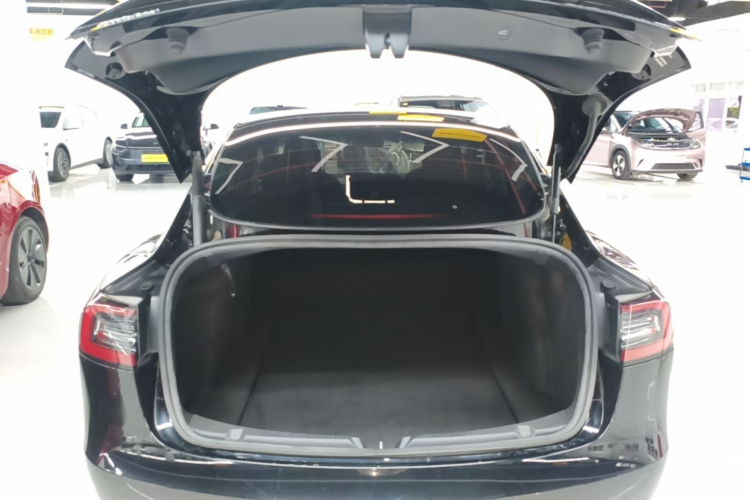Tesla Model 3 2022 #19 Tesla Model 3 2022 car image #19