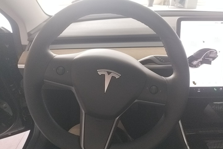 Tesla Model 3 2020 immagine di auto #11