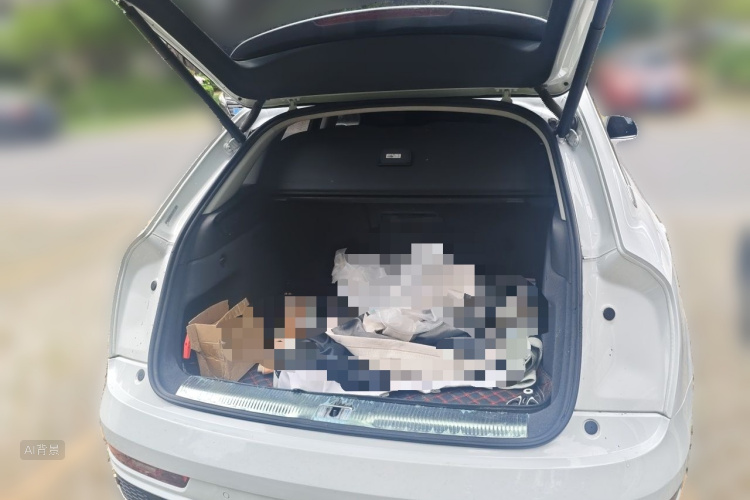 Audi Q3 2019 car image #21