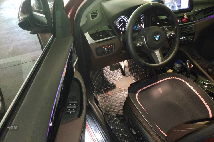 BMW X1 2020 car image #18