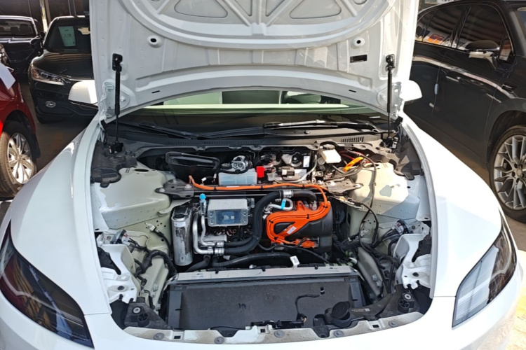 Tesla Model 3 2025 #22 Tesla Model 3 2025 immagine di auto #22