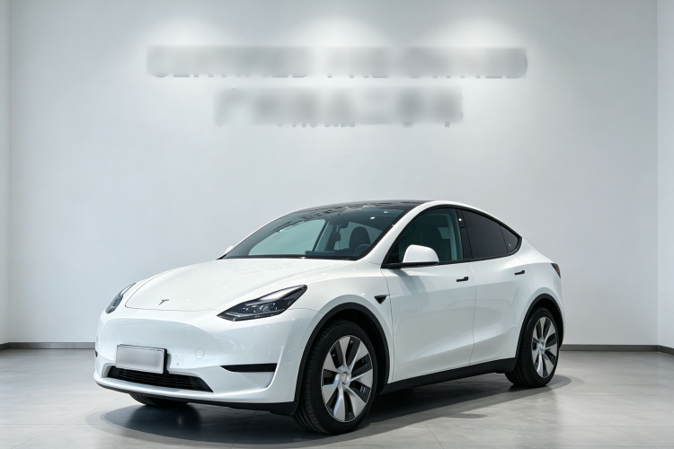 Tesla Model Y 2022 #2 Tesla Model Y 2022 car image #2