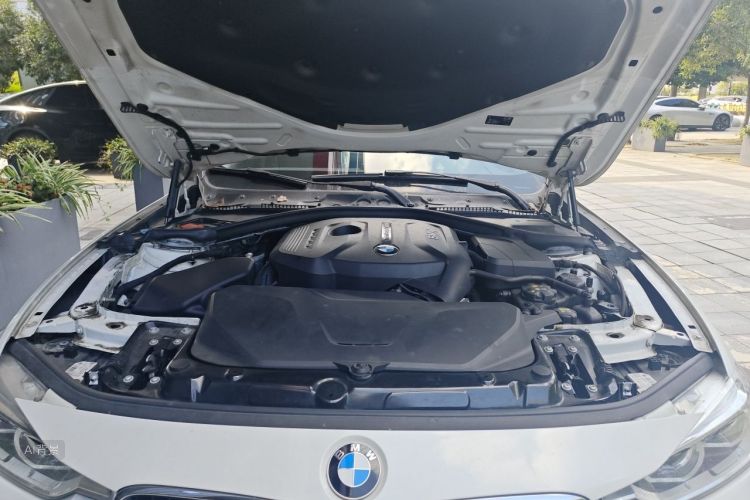 BMW 3 Series 2017 car image #22