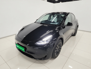 Tesla Model Y 2022 Tesla Model Y 2022 car image