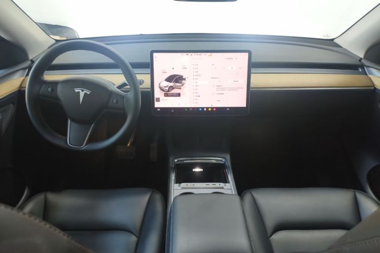 Tesla Model Y 2022 car image #11