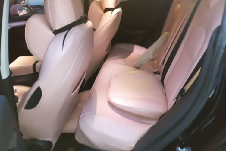 Tesla Model 3 2022 car image #17