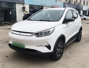 BYD Yuan Pro 2021 immagine di auto 