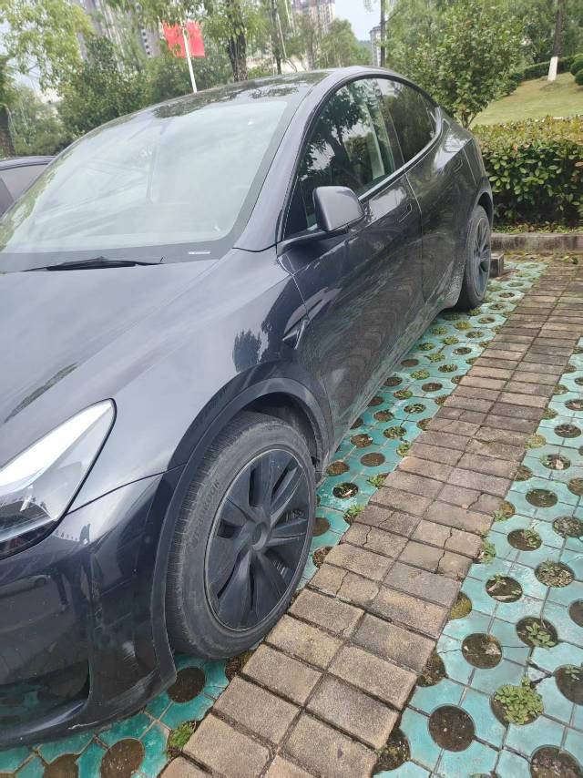Tesla Model Y 2024 car image #2