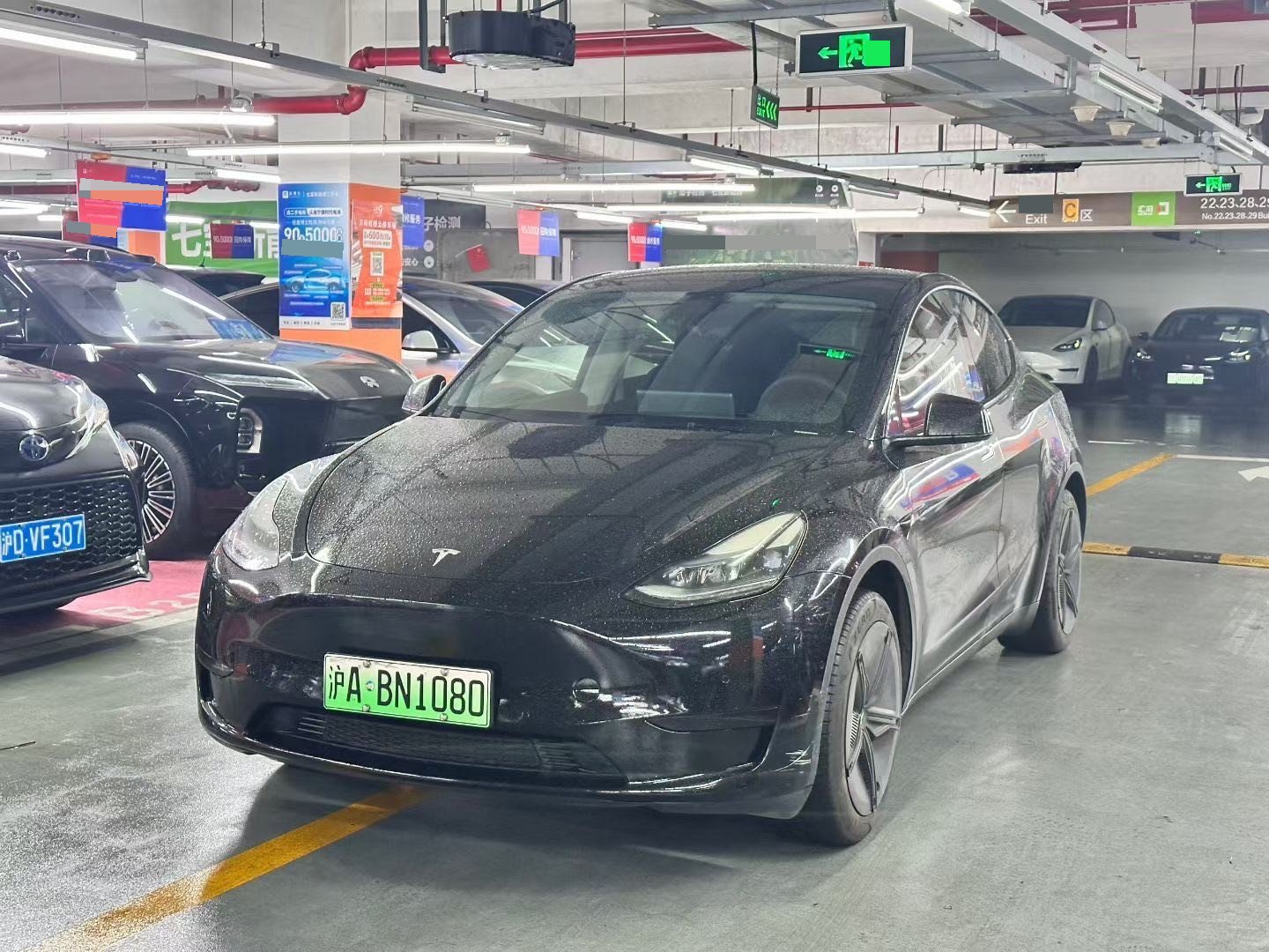 Tesla Model Y 2023 Tesla Model Y 2023 car image
