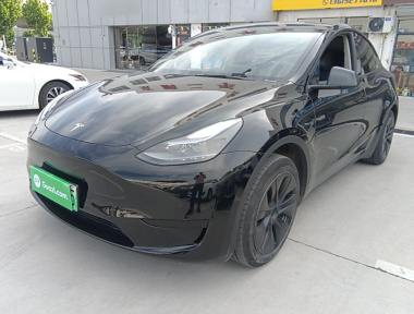 Tesla Model Y 2023 Tesla Model Y 2023 car image