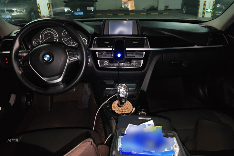 BMW 3 Series 2016 car image #11