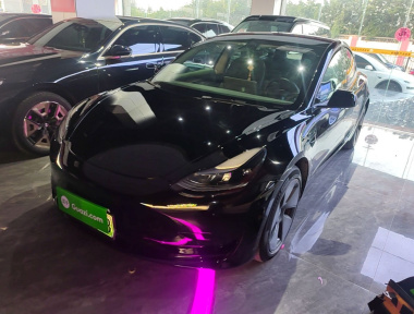 Tesla Model 3 2023 Tesla Model 3 2023 car image