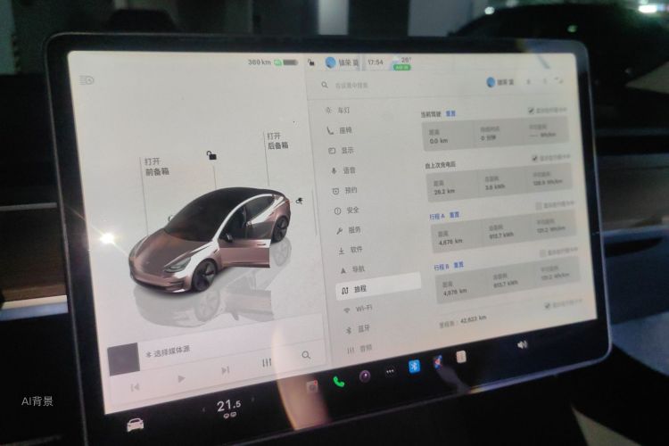 Tesla Model 3 2022 car image #13