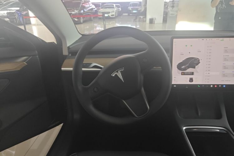 Tesla Model 3 2022 immagine di auto #11
