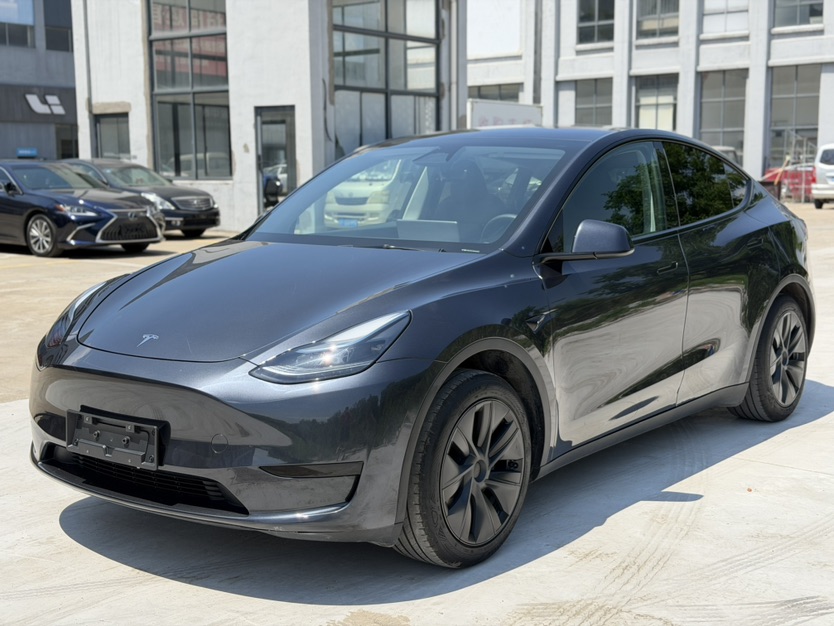 Tesla Model Y 2024 car image 
