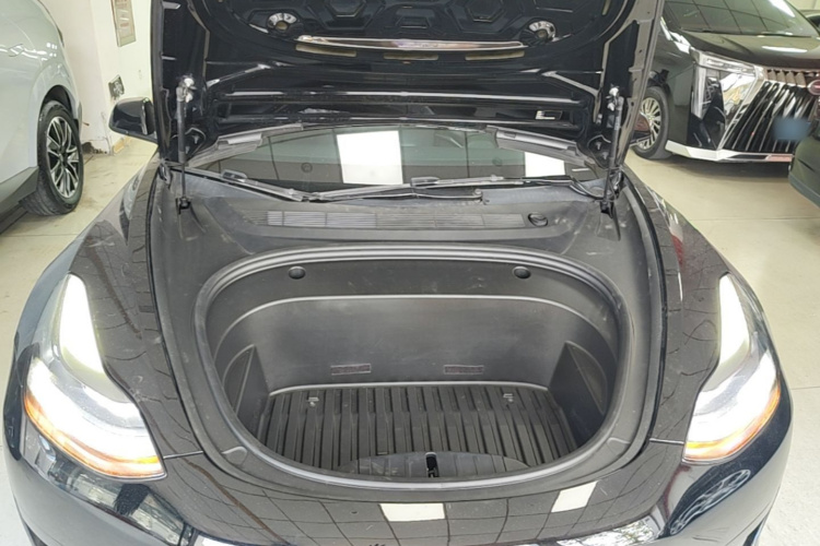 Tesla Model 3 2021 #22 Tesla Model 3 2021 car image #22