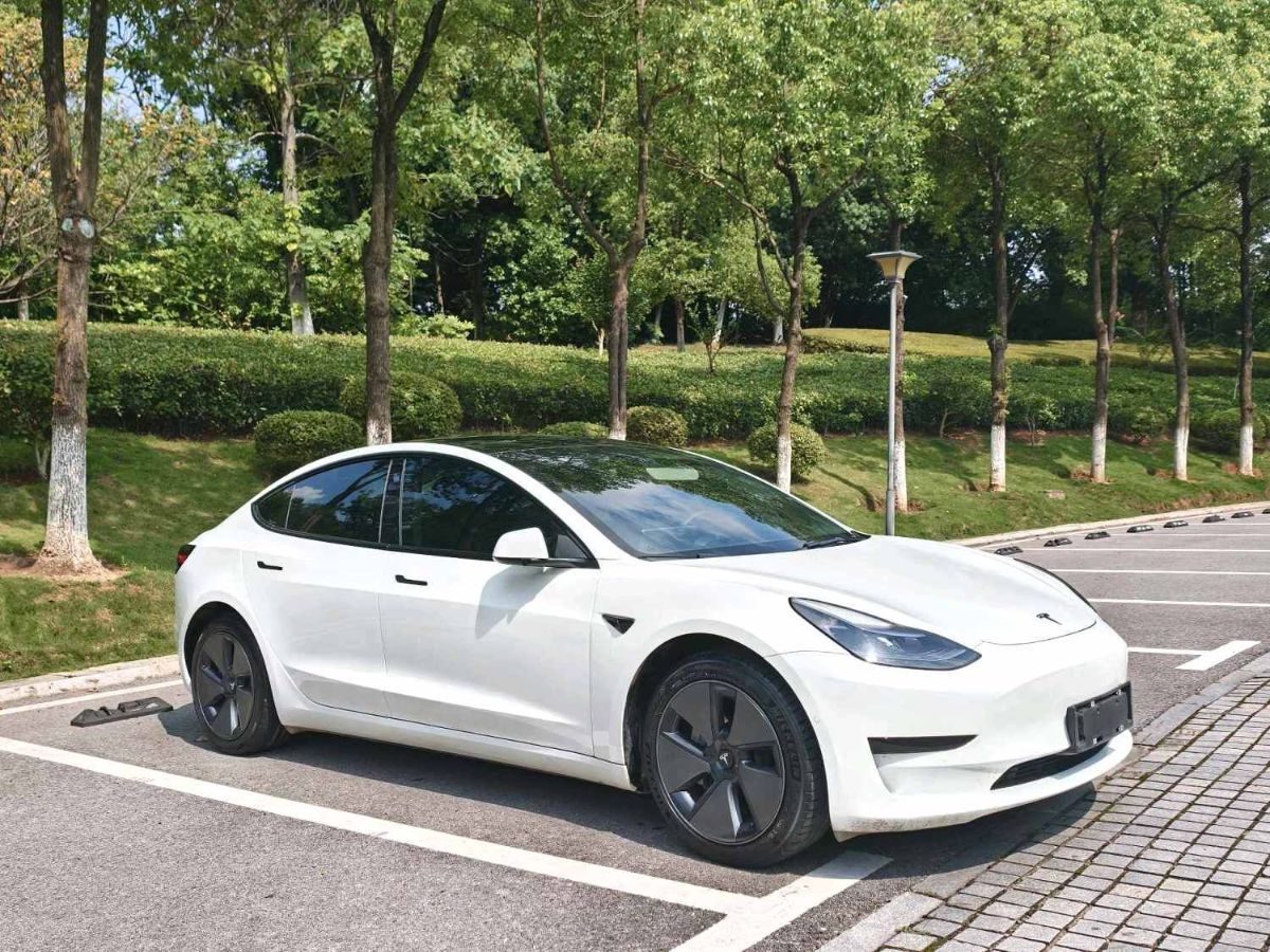 Tesla Model 3 2022 #3 Tesla Model 3 2022 car image #3