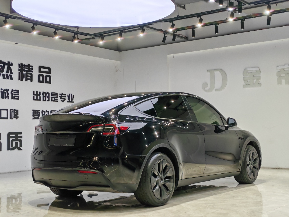 Tesla Model Y 2024 car image #7