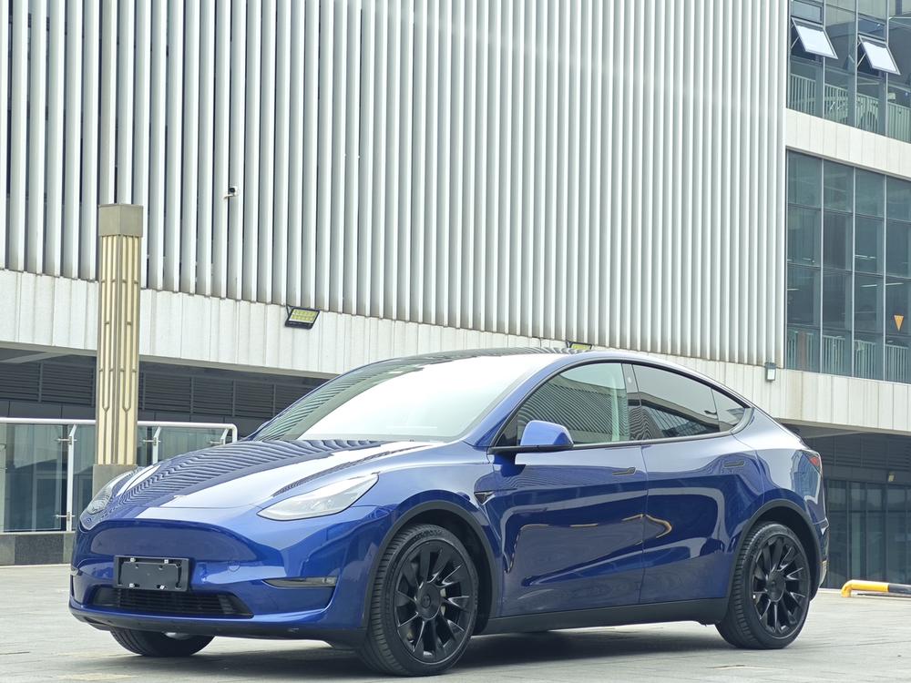 Tesla Model Y 2021 Tesla Model Y 2021 car image