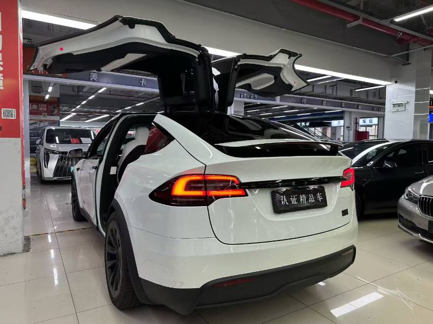 Tesla Model X 2023 car image #4