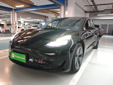 Tesla Model 3 2021 car image 