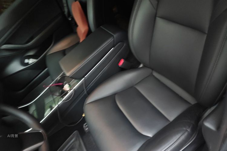 Tesla Model 3 2020 car image #17