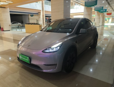 Tesla Model Y 2024 Tesla Model Y 2024 car image