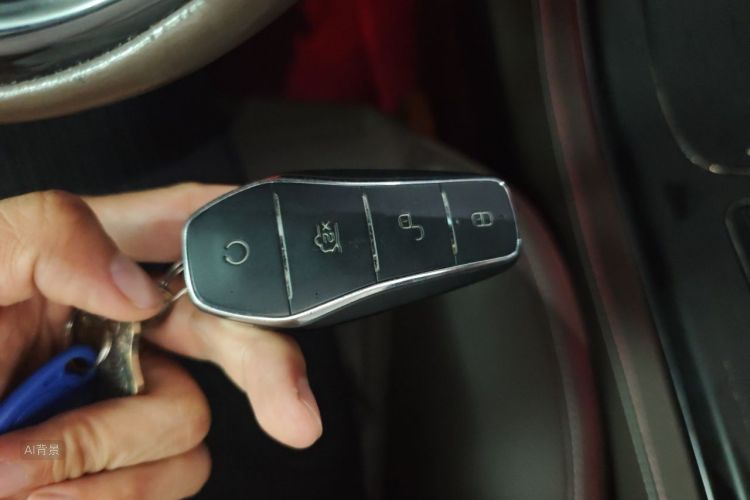 BYD Han 2022 car image #10