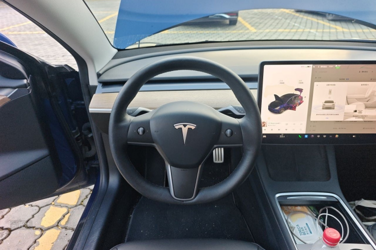 Tesla Model 3 2021 #12 Tesla Model 3 2021 car image #12