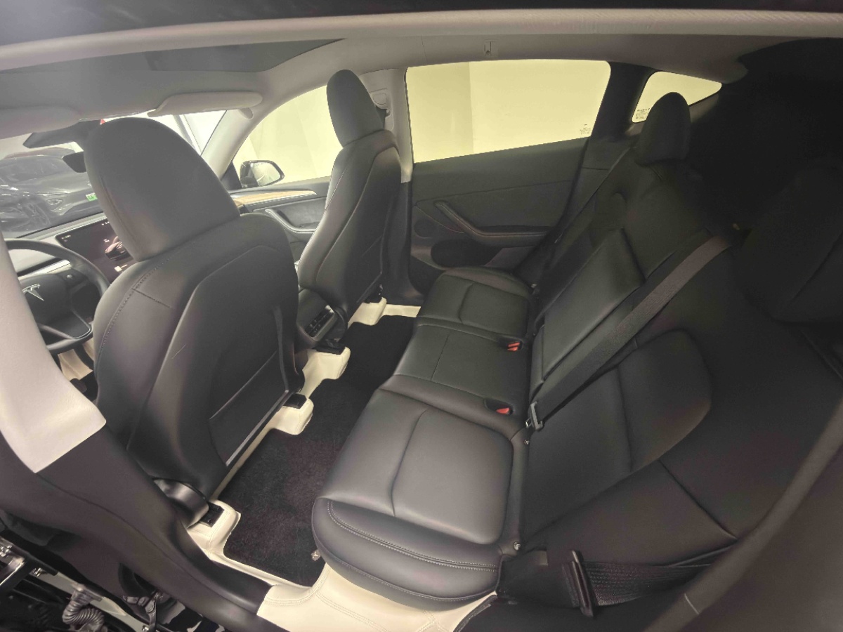 Tesla Model Y 1969 car image #4