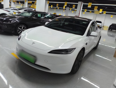 Tesla Model 3 2025 Tesla Model 3 2025 immagine di auto
