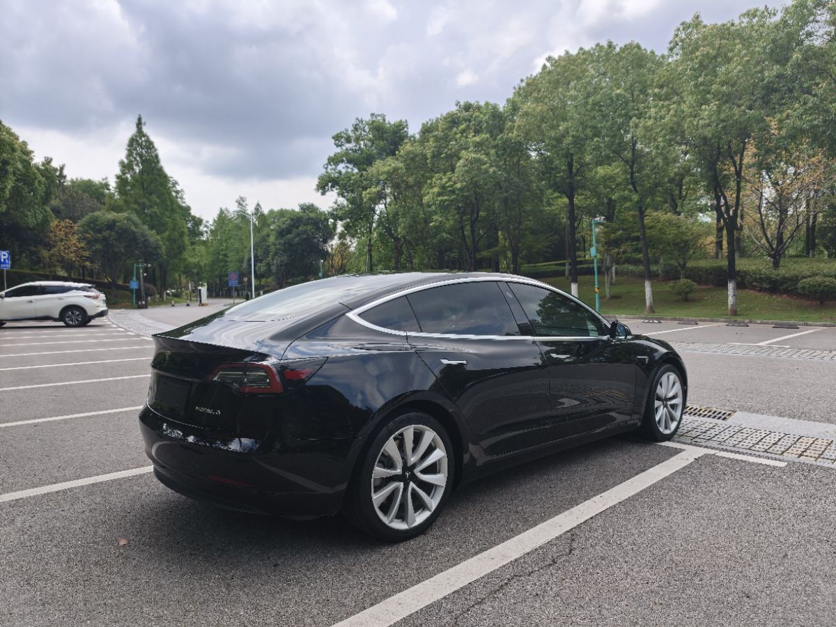 Tesla Model 3 2020 car image #4