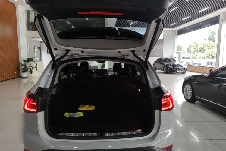 BMW X1 2018 car image #19